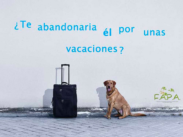 VACACIONES-abandono