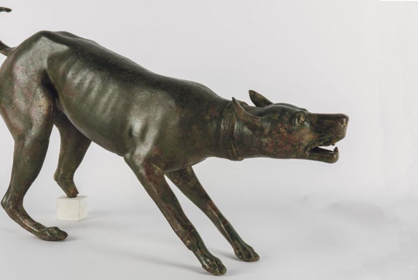 Perro de bronce. Foto: MAN